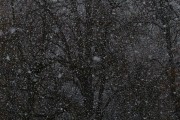 夢中雪舞，心靈的洗禮，夢中雪舞，心靈的洗禮