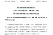 因涉嫌信息披露違法違規(guī)，先鋒新材及總經(jīng)理盧先鋒被立案