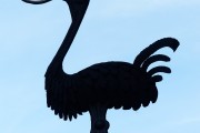 夢(mèng)中的魚咬人，解讀與解析，夢(mèng)中的魚咬人，解讀與解析