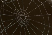 Unity開發(fā)的概述，Unity，創(chuàng)建3D游戲和應(yīng)用程序的強(qiáng)大工具