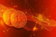 偉時(shí)電子（605218）被警示，股民索賠可期