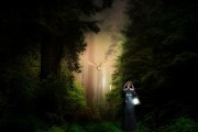 女人夢(mèng)到貓頭鷹，神秘寓意的探索