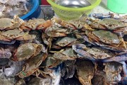 夢中奇遇，螃蟹與魚的共舞，夢中奇遇，螃蟹與魚的共舞