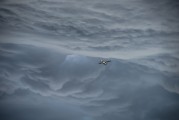 翱翔太空的戰(zhàn)爭(zhēng)游戲——星際爭(zhēng)霸，星際爭(zhēng)霸，浩瀚宇宙中的英勇對(duì)決
