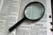 深入解析，如何使用Go語言高效搭建網(wǎng)站，Go語言高效構(gòu)建網(wǎng)站全攻略揭秘